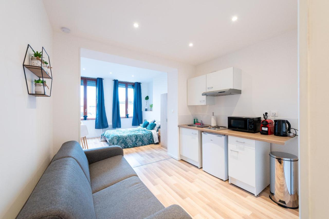 Cosy Location - Confortable, Cosy Et Equipe - Places Gratuites A Proximite Anzin Exteriör bild
