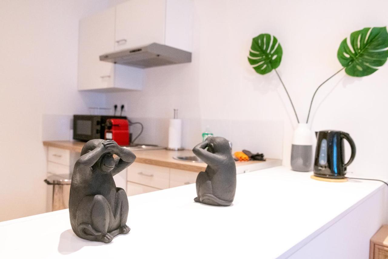 Cosy Location - Confortable, Cosy Et Equipe - Places Gratuites A Proximite Anzin Exteriör bild